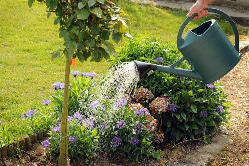 Gardening team at work, showcasing various plants and garden design tools.
