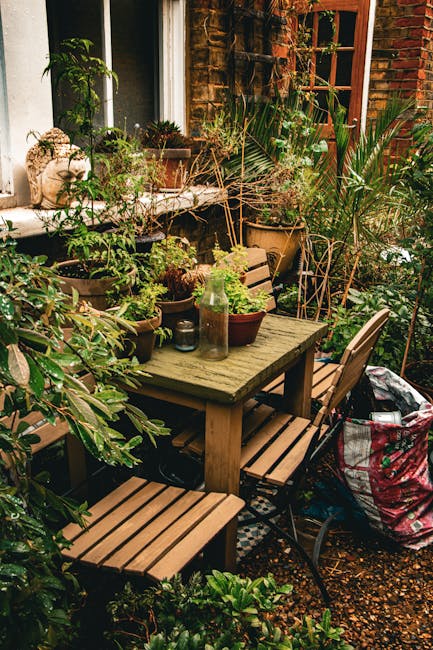 A small urban courtyard garden featuring a neatly maintained lawn area with trimmed grass, bordered by wooden planters filled with vibrant, leafy green plants and colorful flowering shrubs. There are 