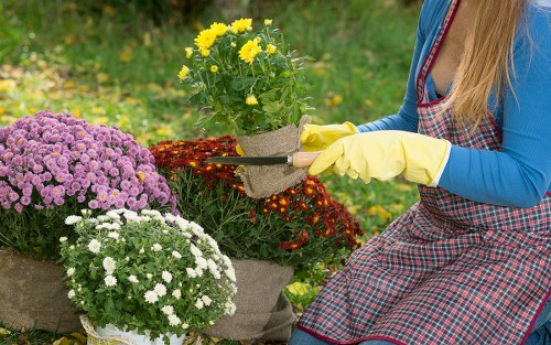 Sustainable gardening practices with rainwater harvesting in Brixton
